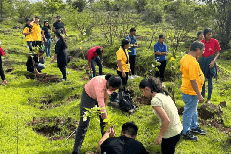 Public cleanliness activity combined with tree plantation reflecting national environmental goals