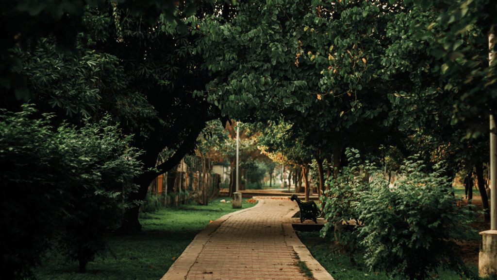 Urban green spaces improving air quality and ecological balance