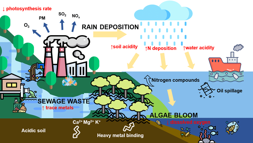 Conceptual visual defining how pollutants contaminate natural surroundings