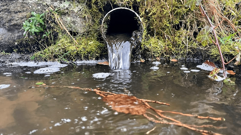 Plastic waste floating in water highlighting severe water pollution