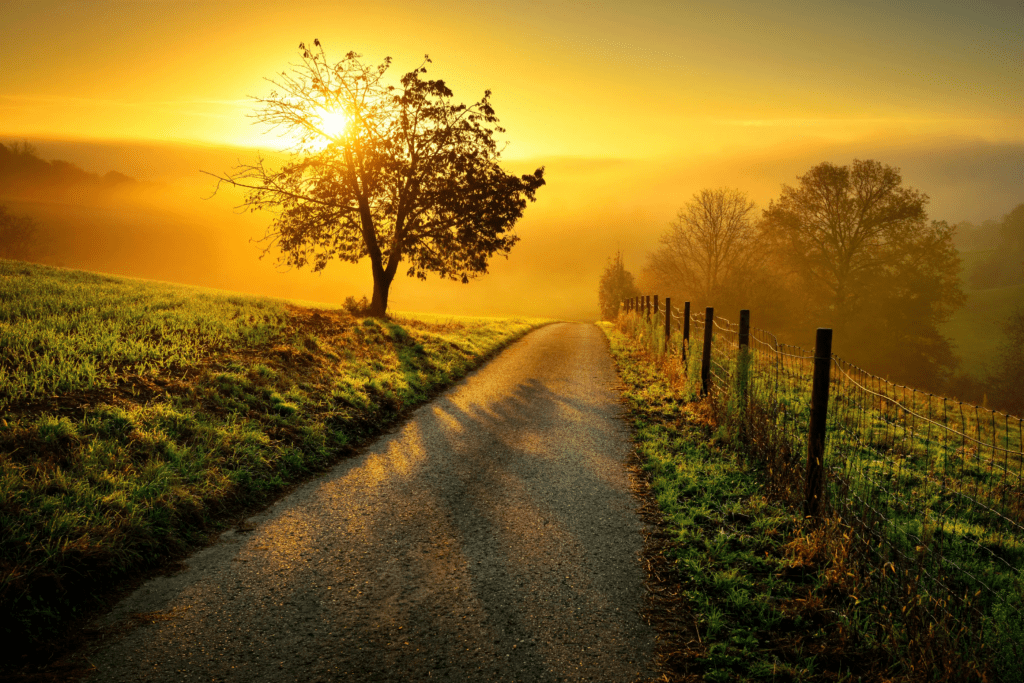 Sunlit path symbolizing strength, motivation and daily struggles in life